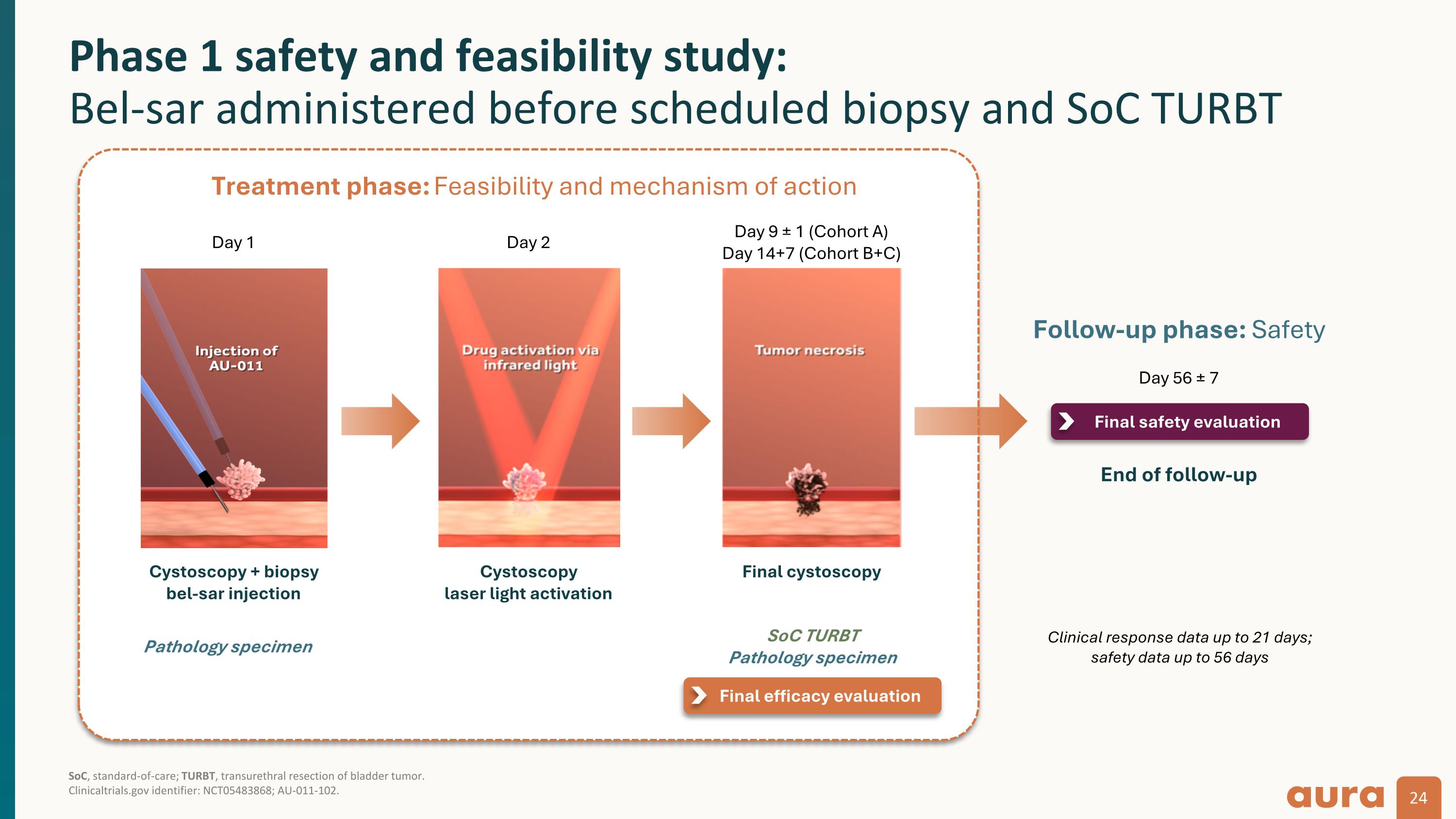 Slide 24
