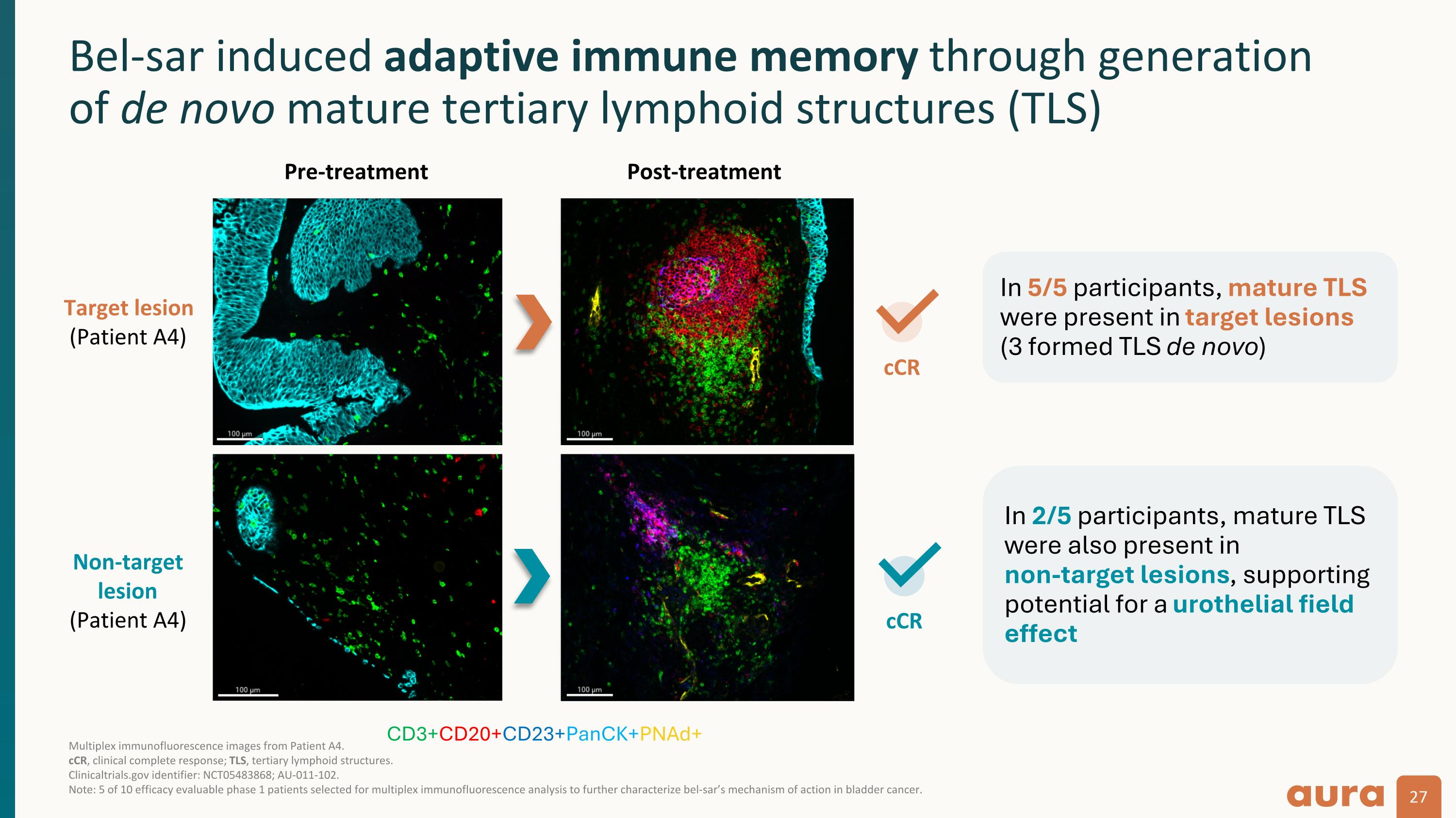 Slide 27