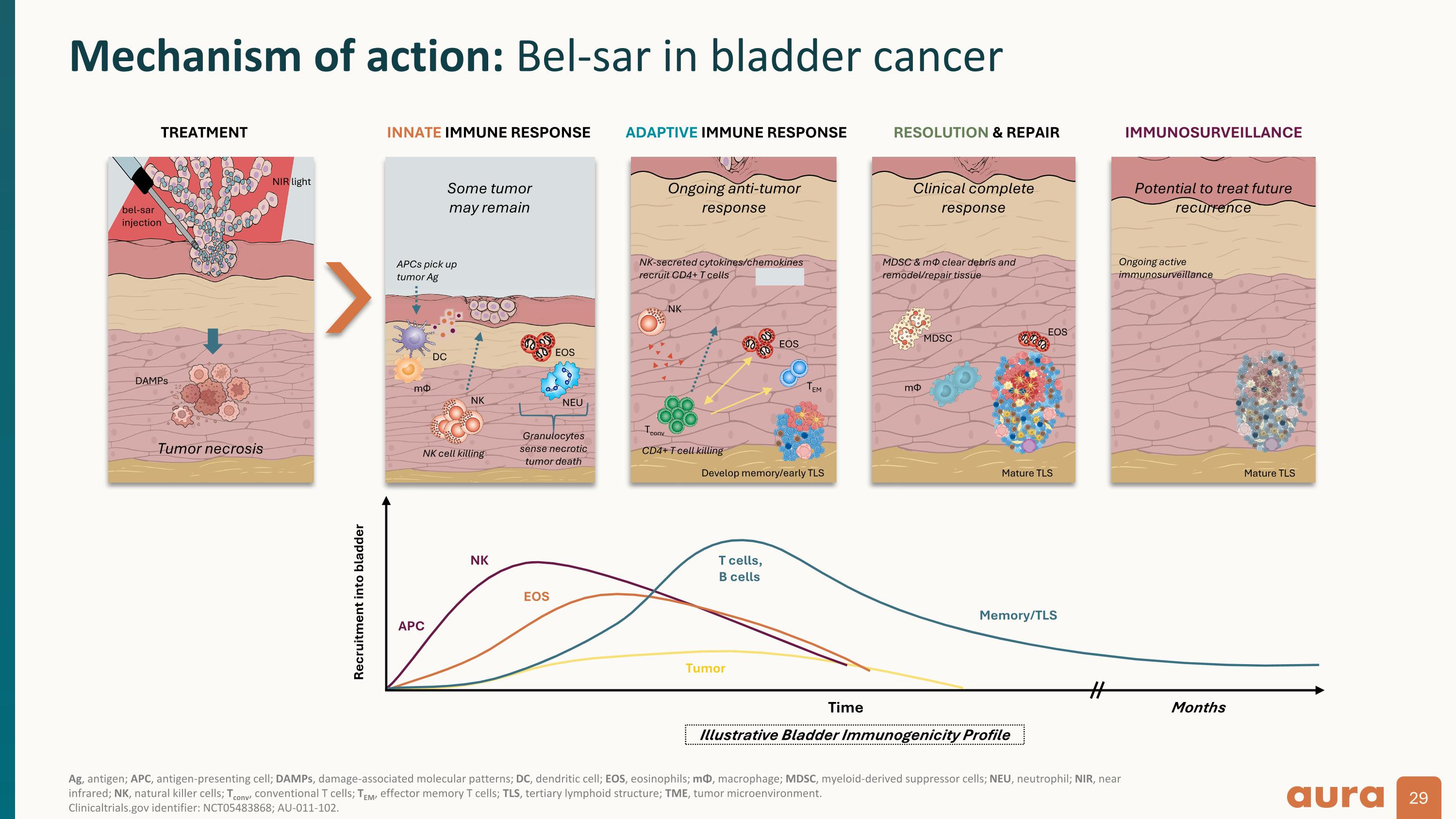 Slide 29