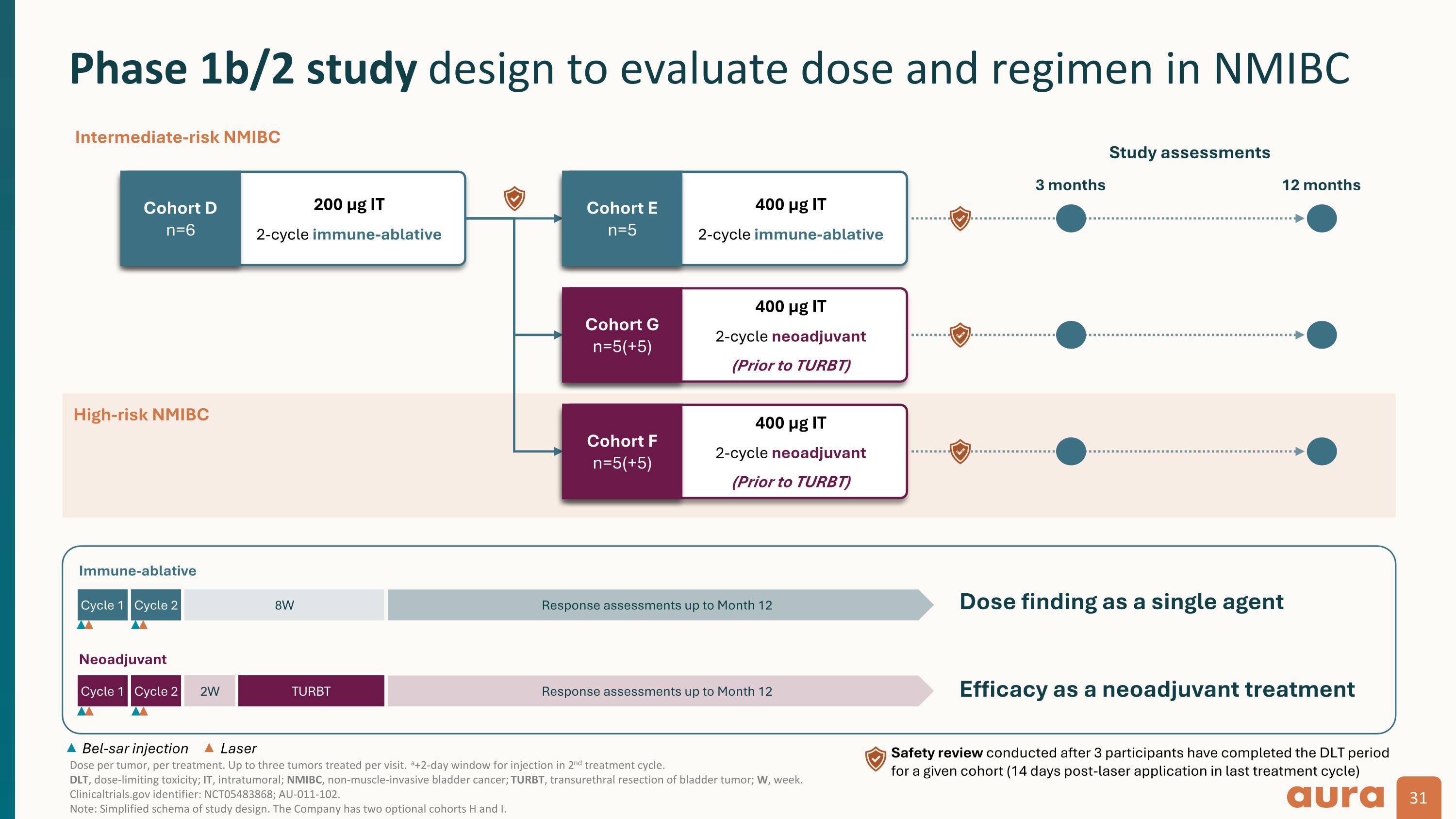 Slide 31