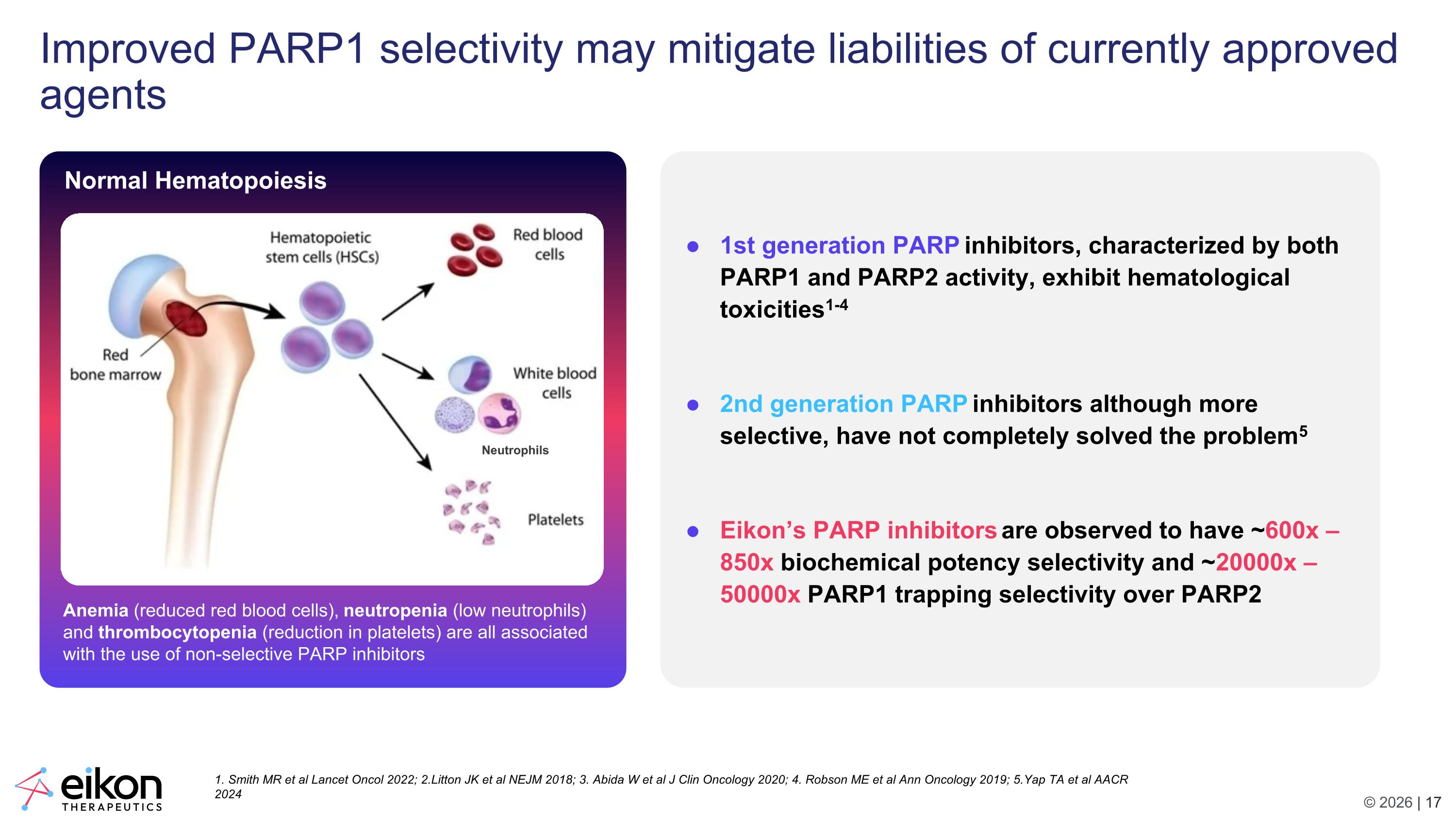 Slide 17