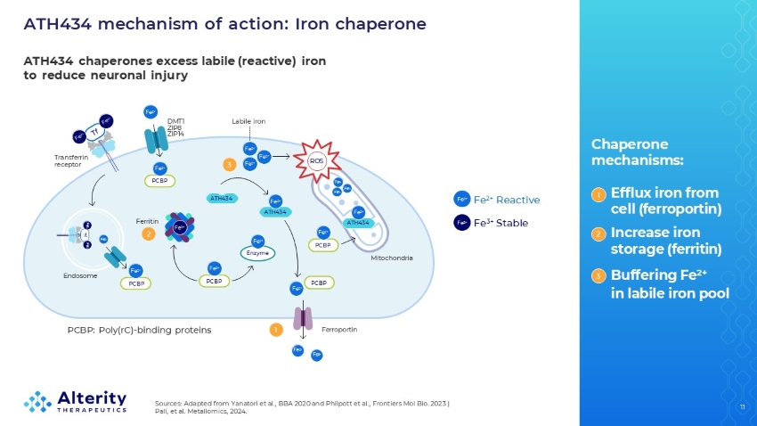 slide11.jpg
