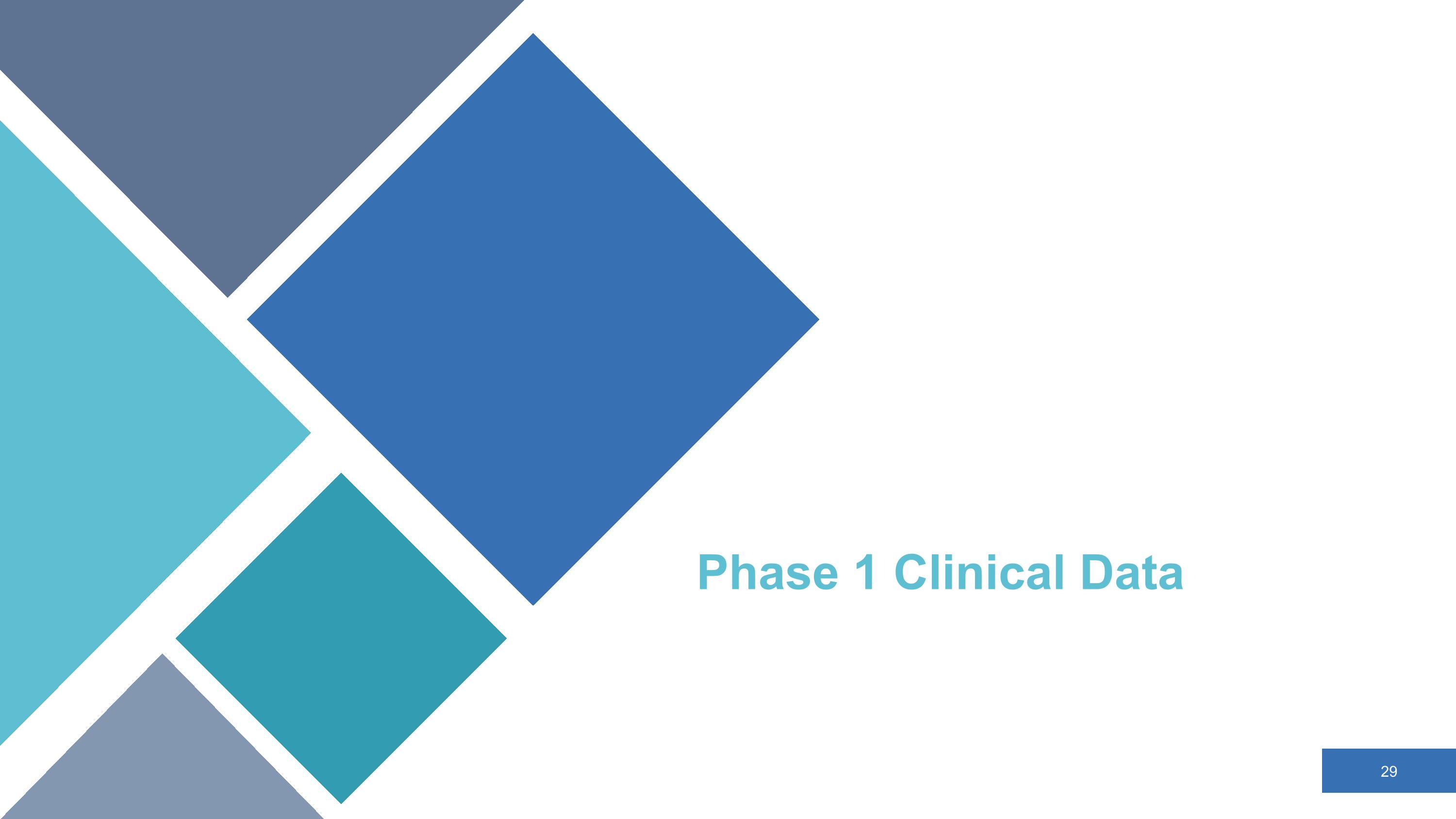 Slide 29