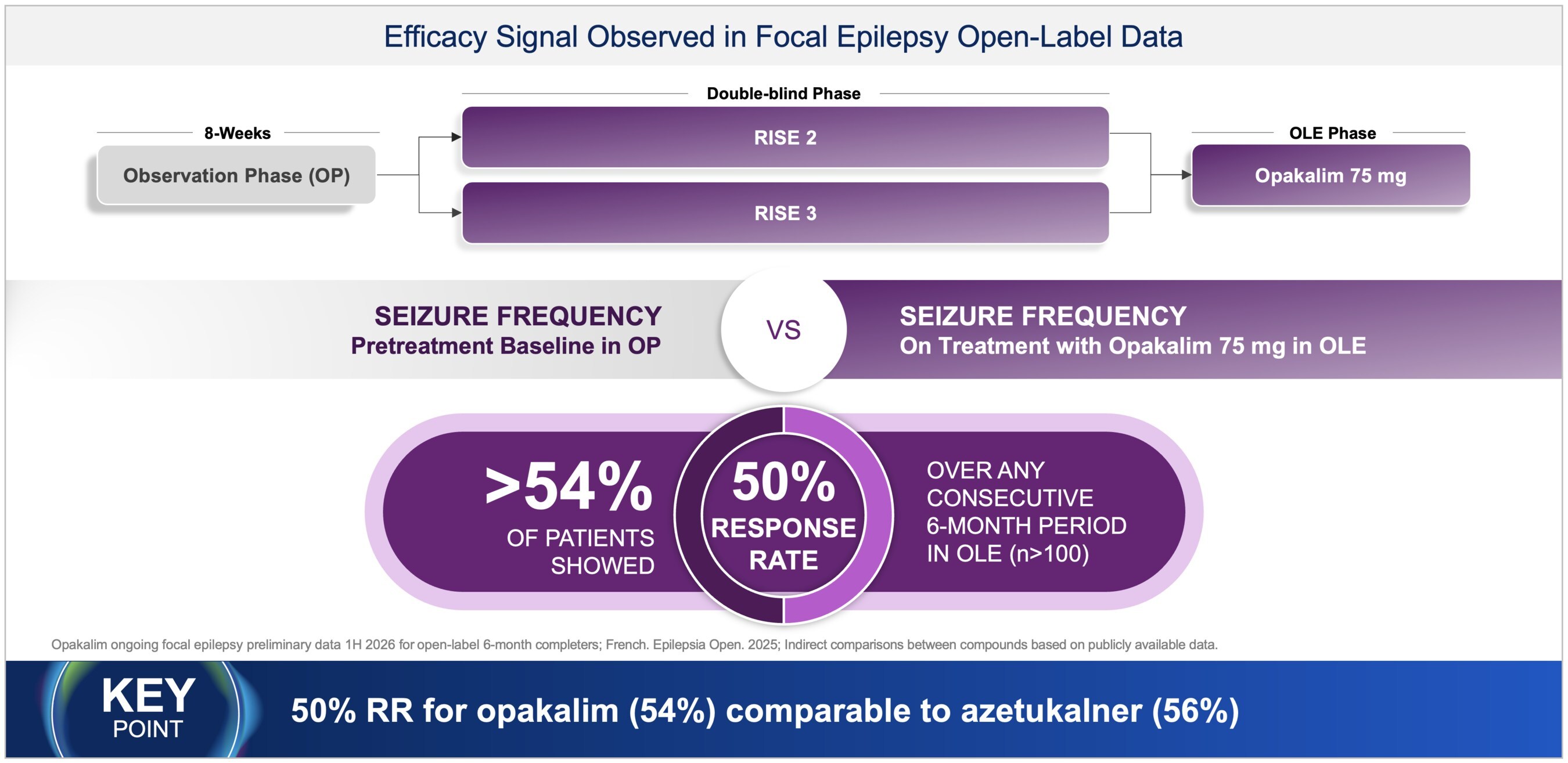 figure2aa.jpg