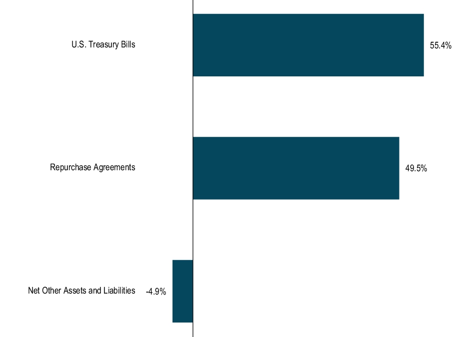 Graphical Representation - Top N Holdings Chart