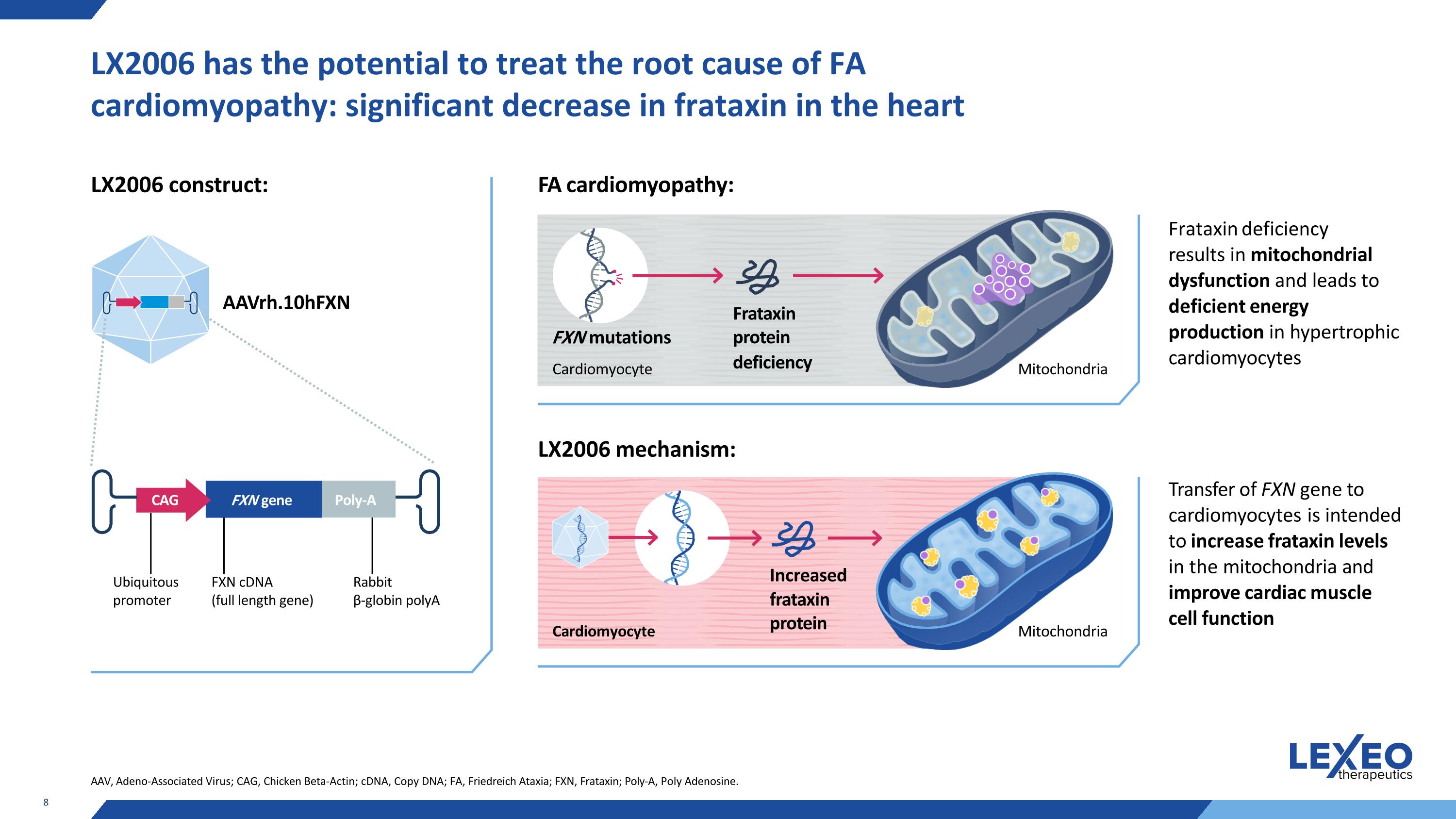 Slide 8