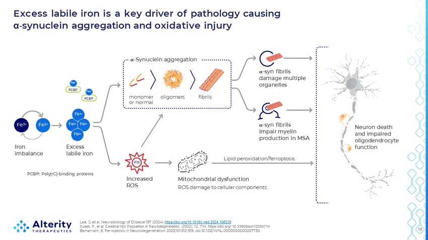 slide10.jpg