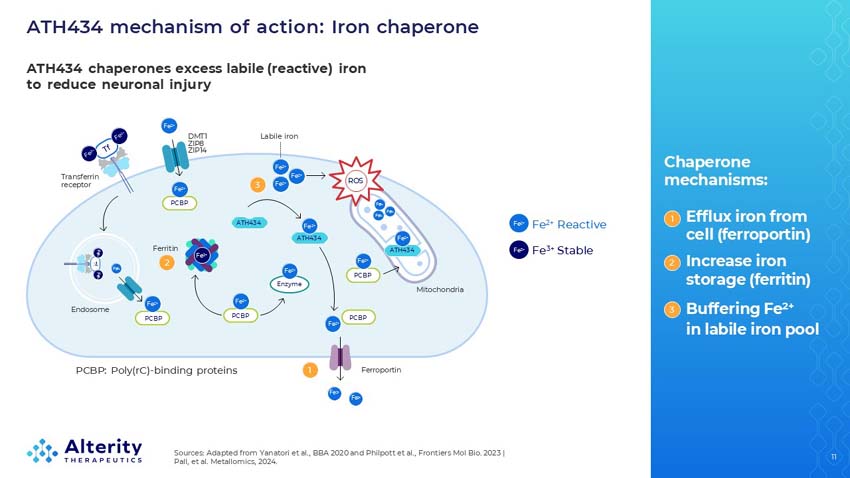 slide11.jpg
