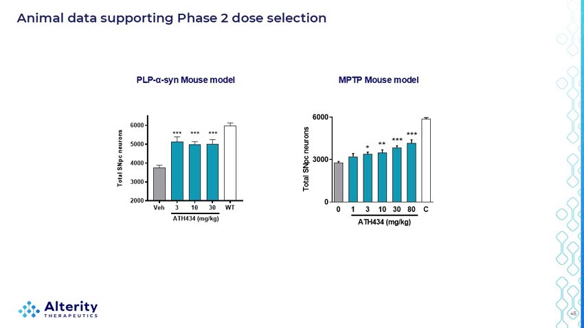 slide45.jpg