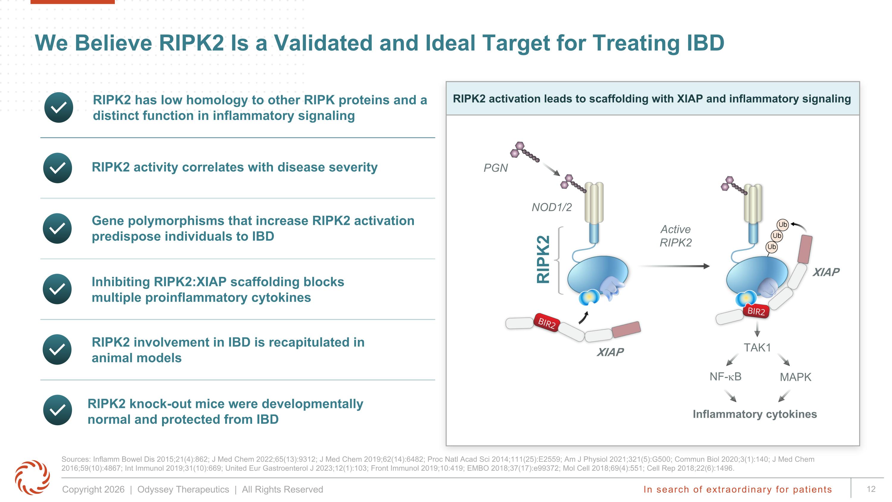 Slide 12