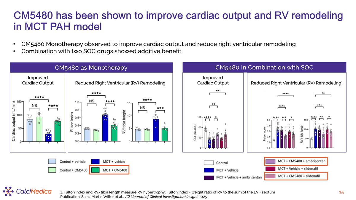 Slide 15
