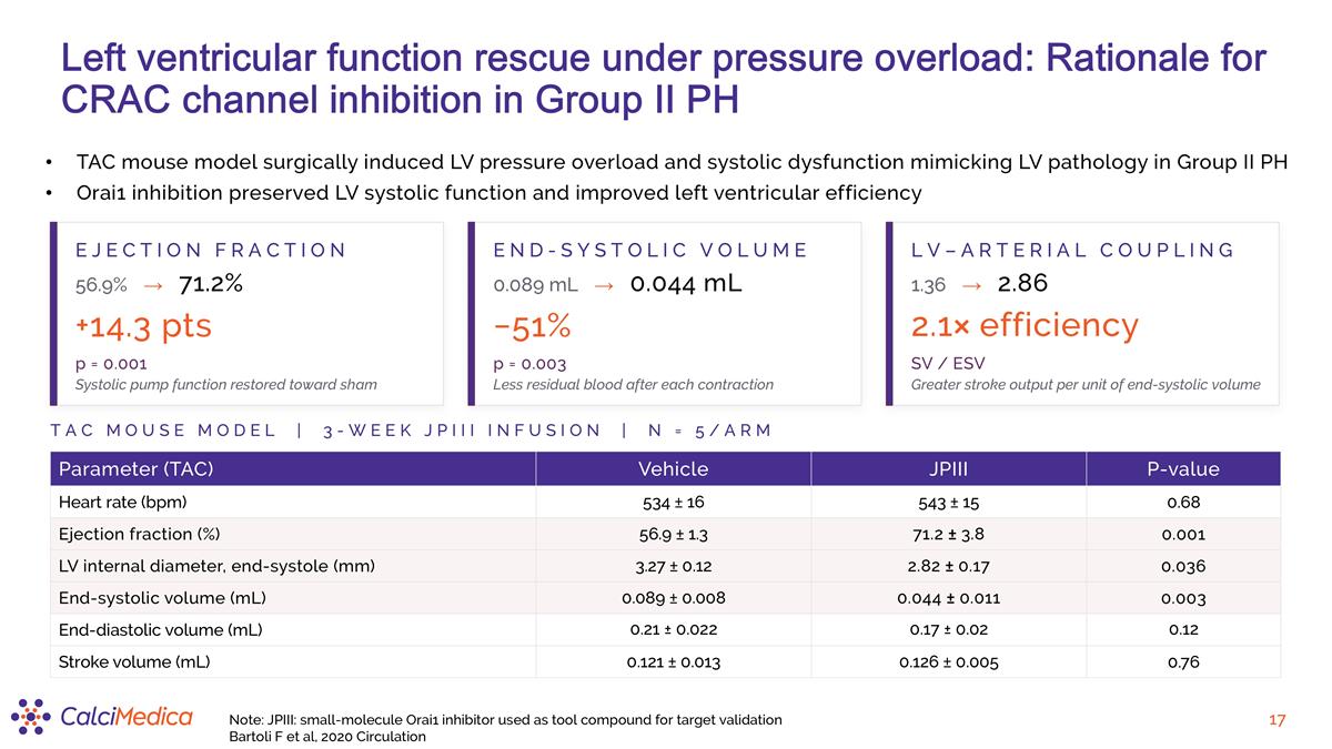 Slide 17