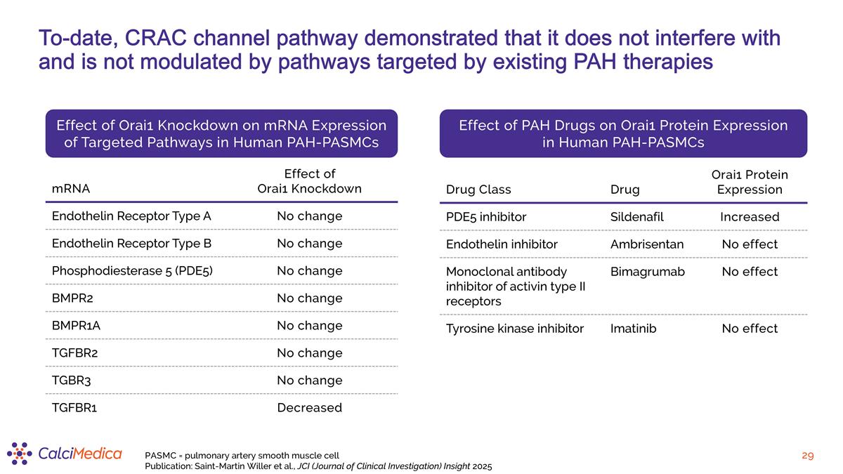 Slide 29