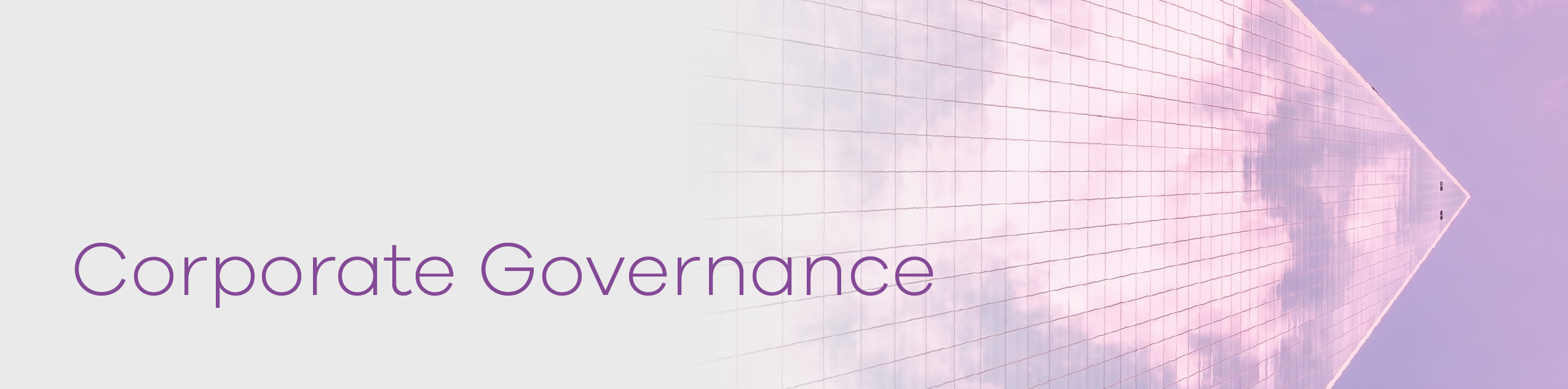 Corporate_Governance_Banner.jpg