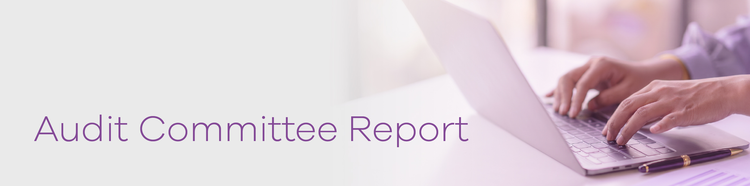 Audit_Committee_Report_Banner.jpg