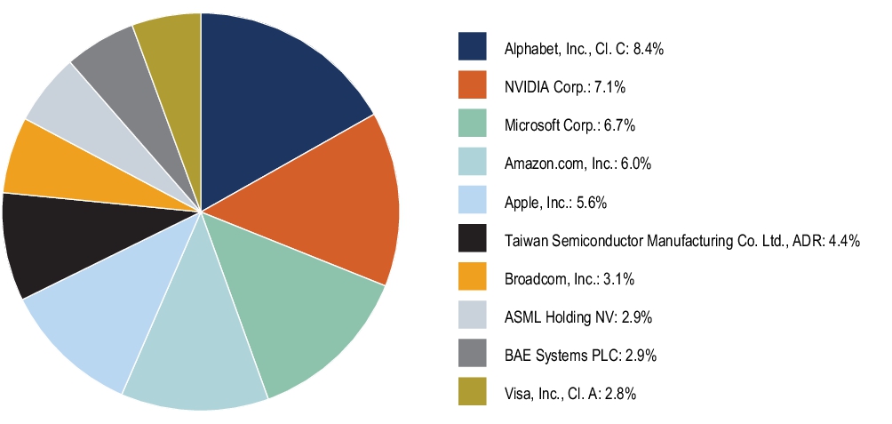 Graphical Representation - Top N Holdings Chart