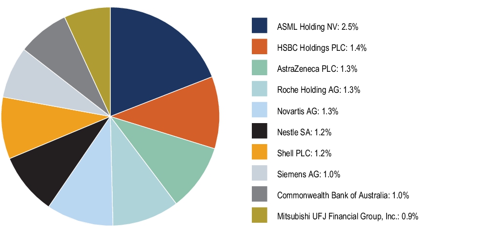 Graphical Representation - Top N Holdings Chart