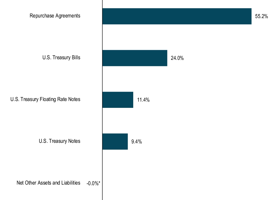 Graphical Representation - Top N Holdings Chart