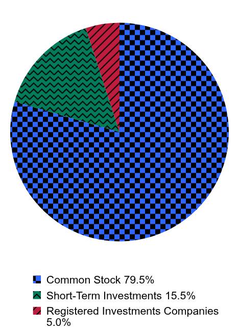 Holdings Allocation by Asset Type Pie Chart