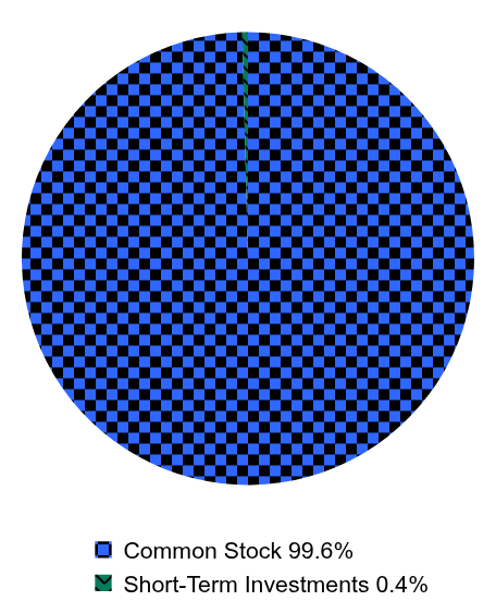 Holdings Allocation by Asset Type Pie Chart