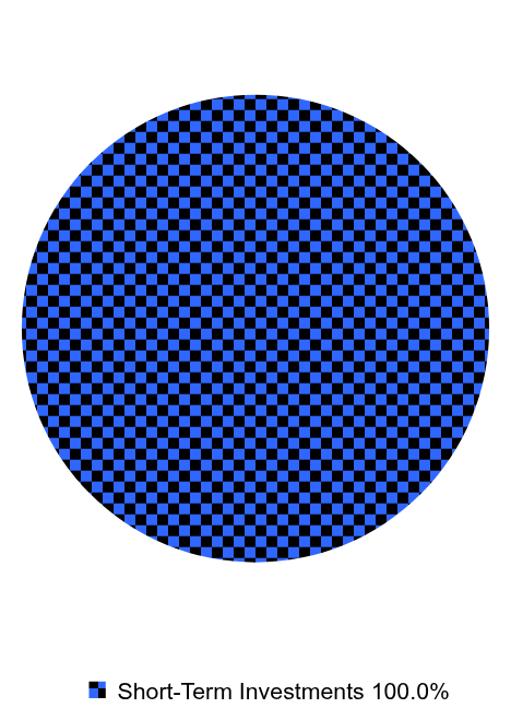 Holdings Allocation by Asset Type Pie Chart
