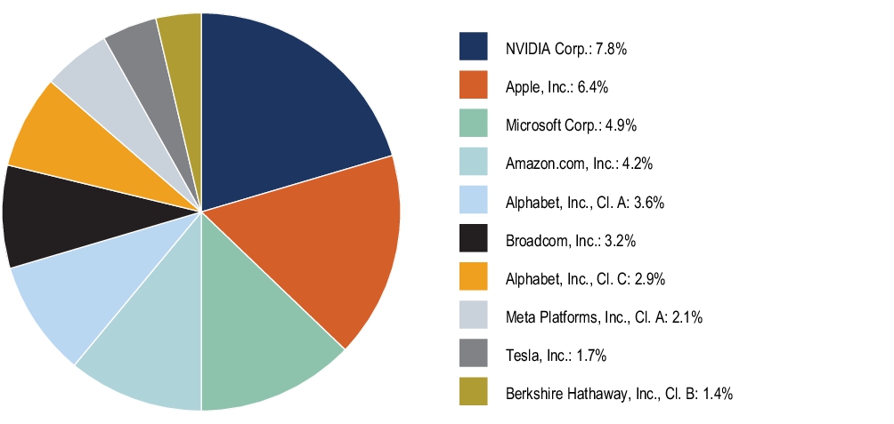 Graphical Representation - Top N Holdings Chart