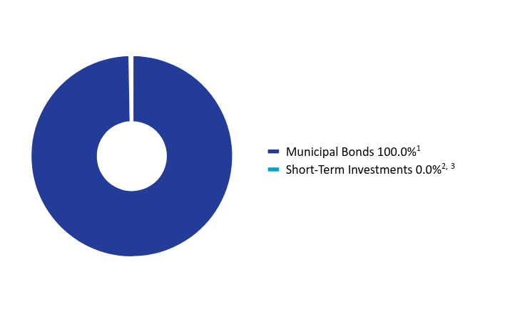 Group By Asset Type Chart
