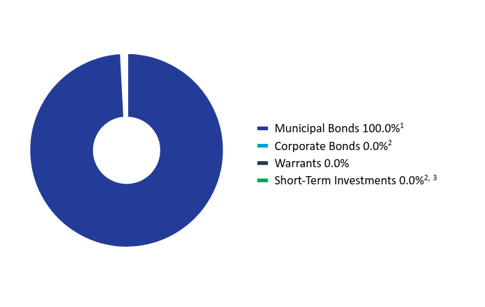 Group By Asset Type Chart
