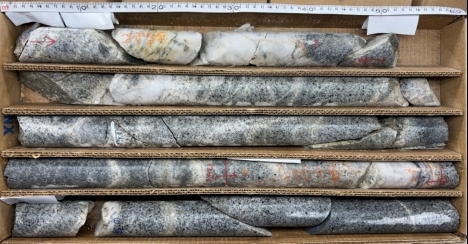 Image6