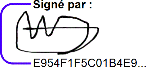 image_7b.jpg
