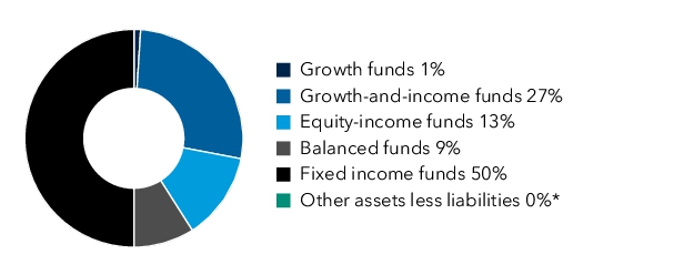 Graphical Representation - Allocation 1 Chart
