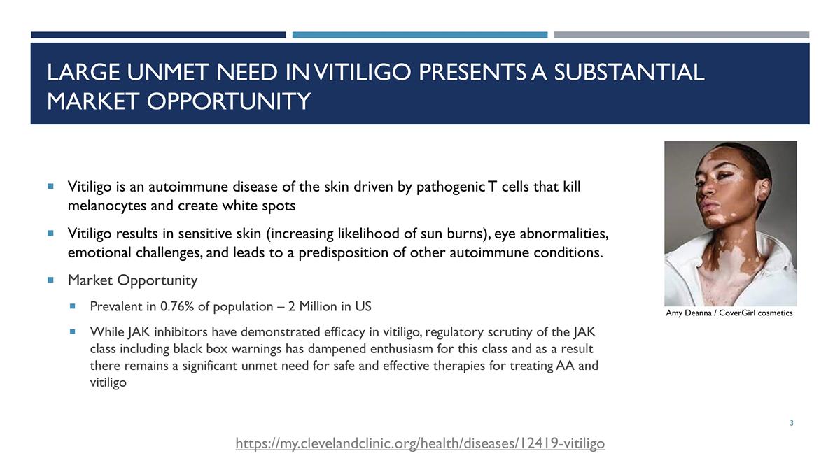 Slide 3