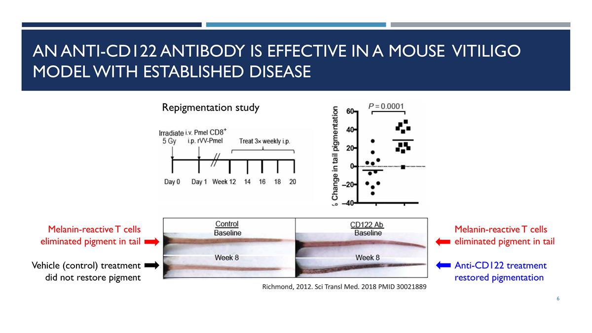 Slide 6