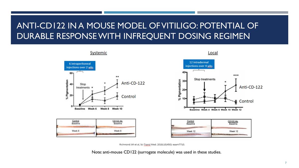 Slide 7