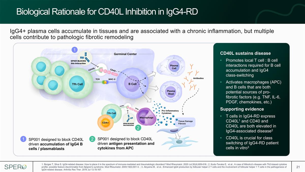 Slide 21