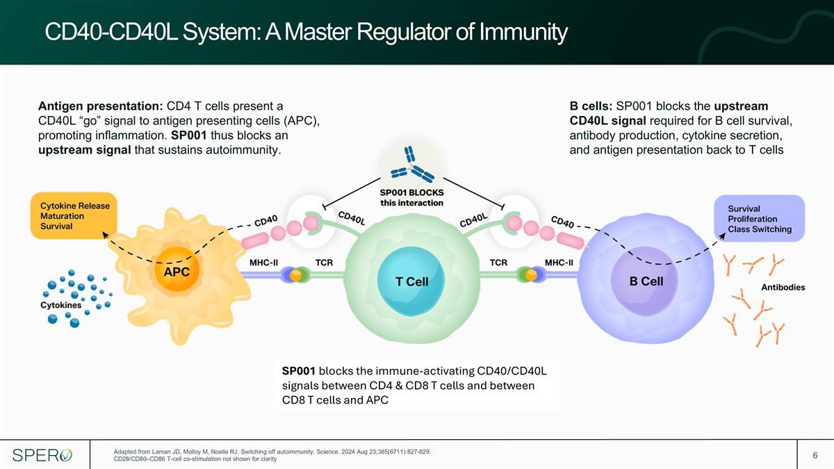Slide 6