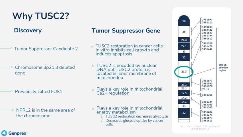 slide07.jpg