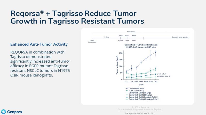 slide19.jpg