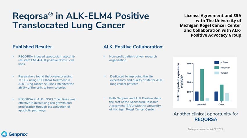 slide31.jpg