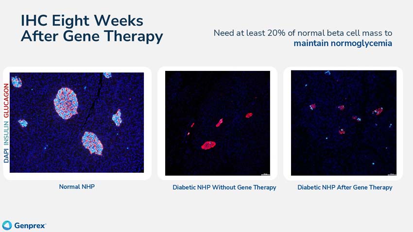 slide49.jpg