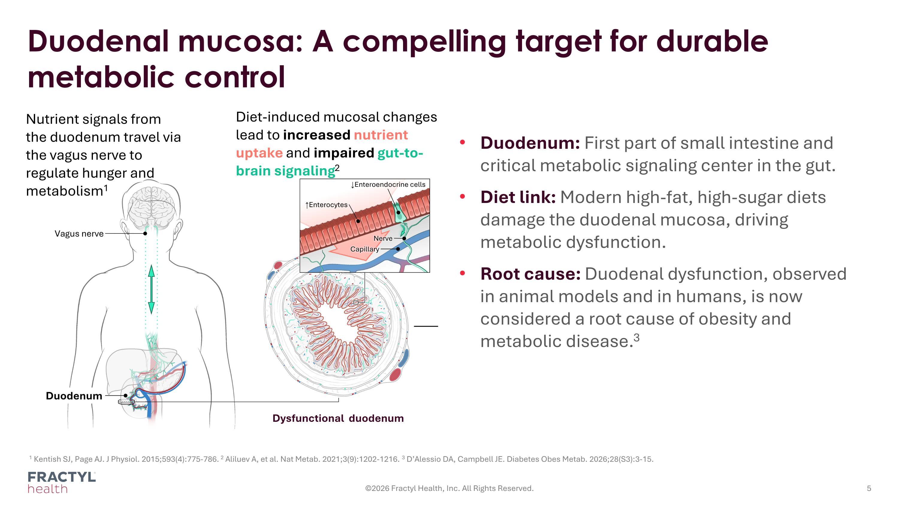 Slide 5