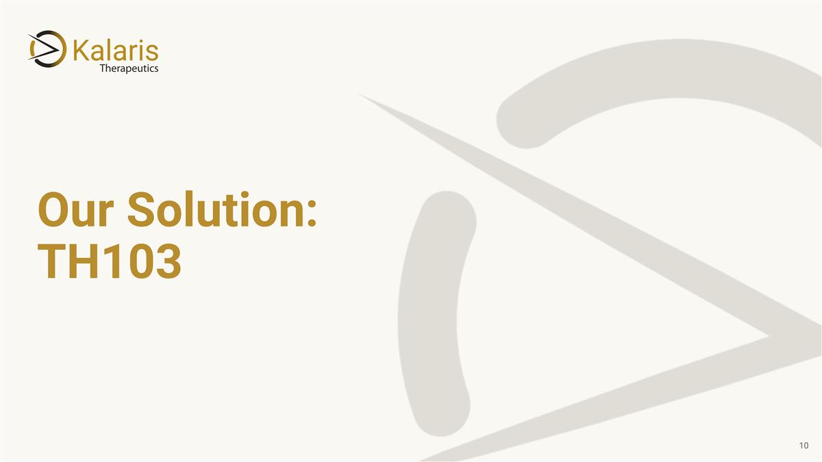 Slide 10