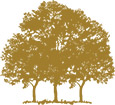 [MISSING IMAGE: lg_canopygrowthtree-pn.jpg]