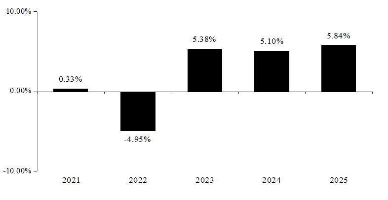 PerformanceBarChartData(2021:0.33,2022:-4.95,2023:5.38,2024:5.1,2025:5.84)