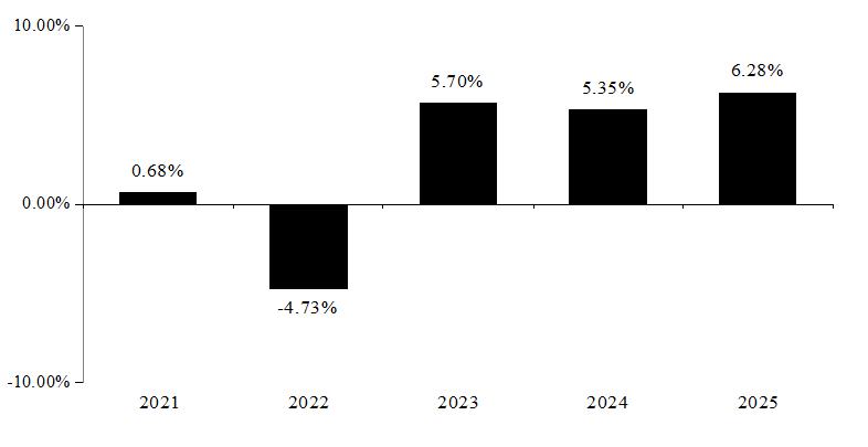 PerformanceBarChartData(2021:0.68,2022:-4.73,2023:5.7,2024:5.35,2025:6.28)