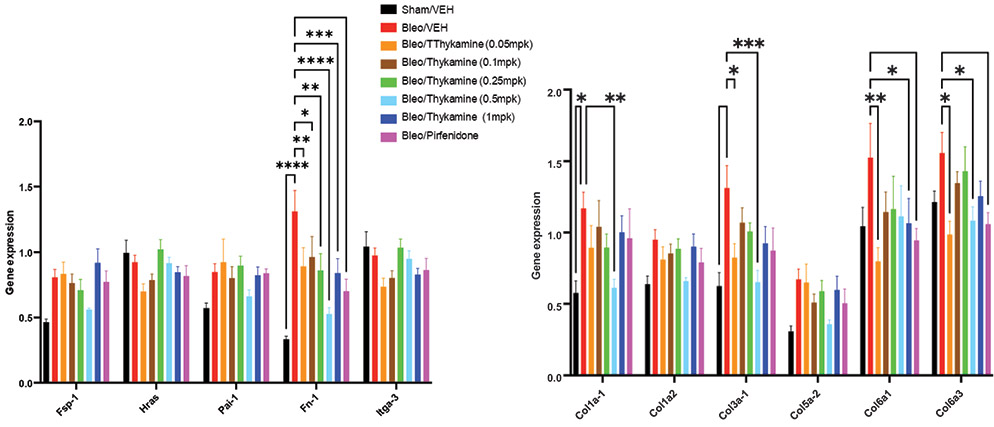 [MISSING IMAGE: bc_lunggene1-4clr.jpg]