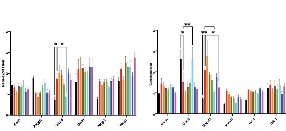 [MISSING IMAGE: bc_lunggene2-4clr.jpg]