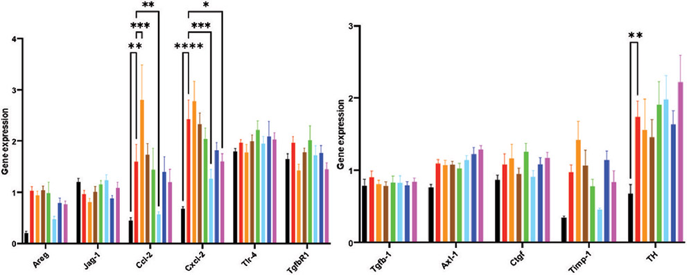 [MISSING IMAGE: bc_lunggene3-4clr.jpg]