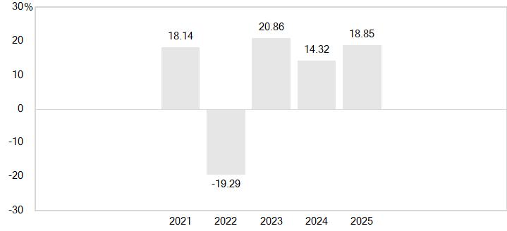 PerformanceBarChartData(2021:18.14,2022:-19.29,2023:20.86,2024:14.32,2025:18.85)