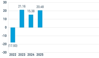PerformanceBarChartData(2022:-17.93,2023:21.16,2024:15.3848528,2025:20.4817368)